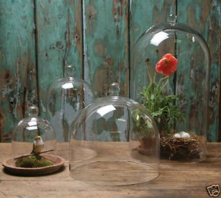 Assorted Glass Domes Cloche Bell Jar Doll Clock Cake Cover Display 