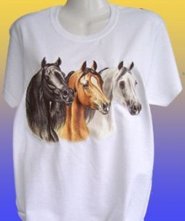   HORSE T SHIRT   3 Arabian Horse Heads   Riding Clothing Ladies Girls
