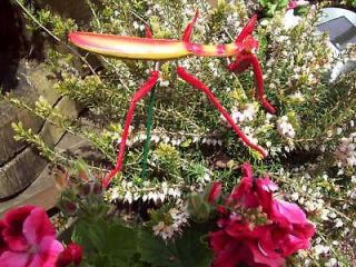 red grasshopper cricket garden stake decor new w tags