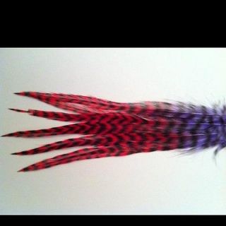 10 Real Grizzly Feather Hair Extensions Purple And Red Whiting