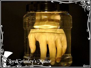 Severed Hand Specimen in a Jar Halloween Prop Horror Haunted Mad 