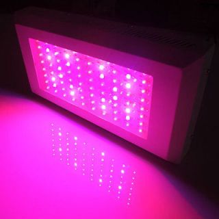 240W LED Grow Light 8 Band 3W Veg Flower LEDs Hydroponic Pro LED Grow 