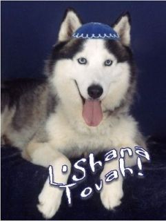 Pet Jewish New Year Cards Dog Rosh Hashanah Siberian Husky