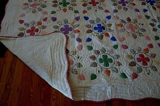 New Handmade Applique Quilt, Flowers & Petals Pattern / Nice