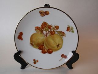   Bavaria Germany Debra Fine China Fruit Plate Pear Hazelnuts