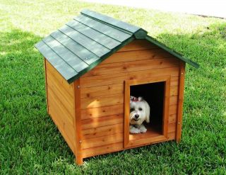 outdoor dog house in Dog Houses