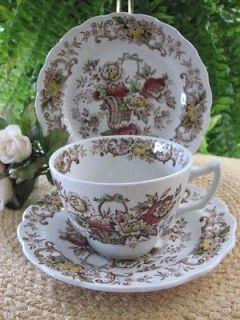 RIDGWAY Staffordshire Brown Multi Old English Bouquet Teacup/Scr/B&B 