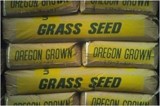 90% Kentucky Bluegrass 10% Perennial Rye Grass Lawn Turf Seed 5 lb bag