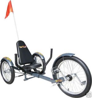   THREE WHEELER LOW RIDING RIDER BICYCLE BIKE TRICYCLE TRIKE FOR ADULT