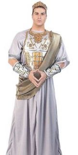 Mens Zeus Greek Roman Caesar King Toga Halloween Costume M