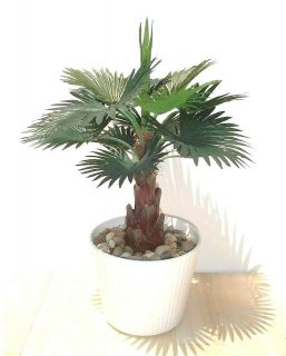 Palm   13 (33cm)   Artificial Silk Plant, Imitation Replica Faux Tree 