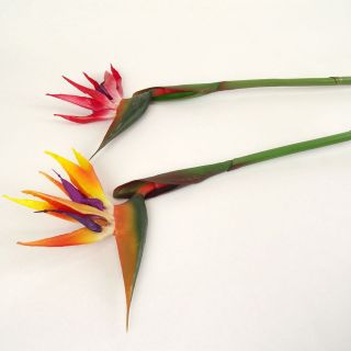 Artficial Bird Of Paradise Stem Tropical Fake Flowers.
