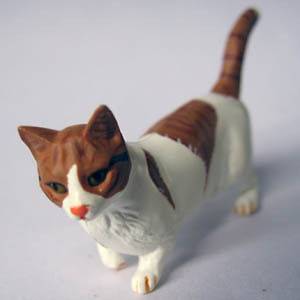 MUNCHKIN CAT Abnormal Short Leg chocoq pet animal mini figure model 