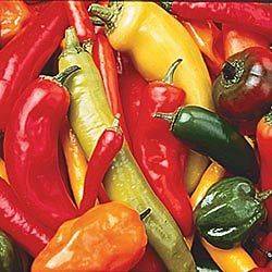 HOT PEPPER SEED MIX   25 HOT PEPPERS FRESH SEEDS 