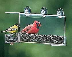 duncraft bird feeders