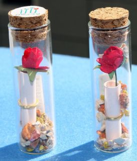 Message in a Bottle Message Capsules Capsule Letter DELICATE ROSE