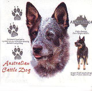 Australian Cattle Dog Dog Printed T shirts *** Small.