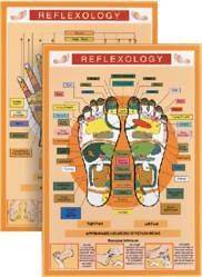 Reflexology mini chart 160mm x 235mm natural health medicine