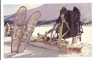 Vintage Postcard Alaskan Trappers Gear Traper Husky Dog Team Sled 