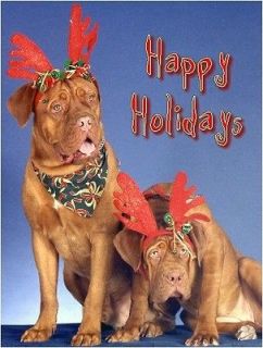 Pet Christmas CardsDog Mastiff Dogue de Bordeaux