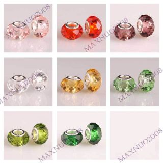 5pcs Crystal Murano Lampwork Glass European Beads Charm Bracelets PG
