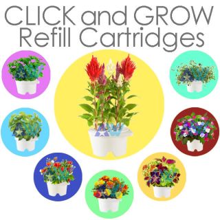 Click and Grow Refill Cartridges Basil, Thyme, Garden Sage, Coriander 