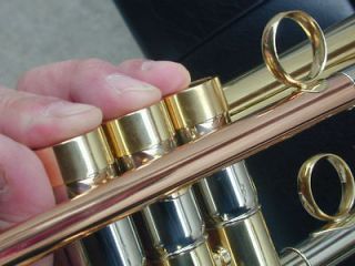Berkeley Heaviest Classic Large Rose Brass Bell Trumpet (MOnette style 