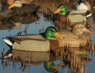 Sporting Goods  Outdoor Sports  Hunting  Decoys