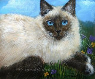 CAT GICLEE of painting Birman Snowshoe Tonkinese Kristine Kasheta 