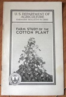 Scarce Farm Study of the Cotton Plant 1931 by J. W. Hubbard 