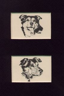 Siberian Husky Head Set   Dog Print   1932 D. Thorne