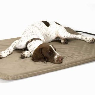 outdoor heated dog bed in Beds