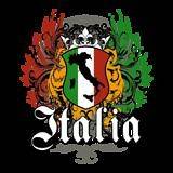 Italia Crest Flag Italy Flag Italian Ethnic Pride Tee Shirt T shirt