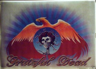 Grateful Dead 20x28 Skull and Roses Pheonix Poster 1981