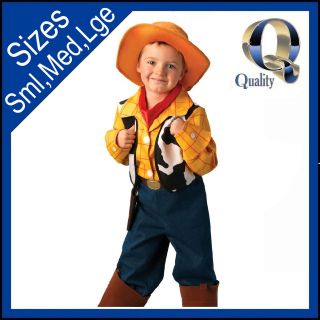   Platinum WOODY Costume   Licensed Kids Childrens Toy Story Fancy Dress