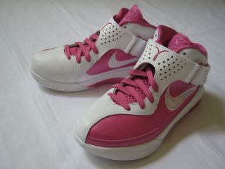   Nike Air Max James Lebron Soldier V Think Pink Basketball Shoes