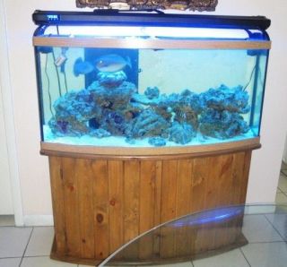 used aquariums in Aquariums