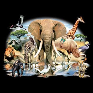 Wildlife T Shirt African Oasis Wild Life Scene Elephant Monkey Giraffe 