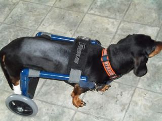 No Assembly Custo​m Dog Wheelchairs/ Light Weight