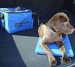 Hound Cooler Dog pet Bed 11x22 active cooling cushion w/ ice chest 