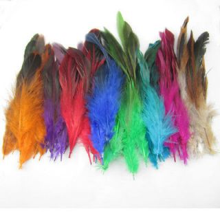   mixed Colors 40Pcs Grizzly Feathers hair for extensions 6 8inch long