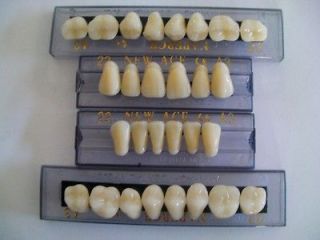 HALLOWEEN HORROR PROP   Resin Teeth for Prop Building