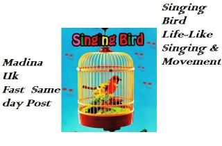 NEW LIFE LIKE SINGING AND MOVING BIRD IN THE CAGE