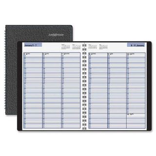   At A Glance G520 00 Professional Appointment Book, Weekly   8 x 11