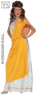   Costume Fancy Dress Size 12 14 Greek Goddess Grecian Aphrodite Toga