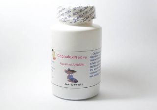 50 Count Cephalexin 250 mg Aquarium Fish Antibiotic 