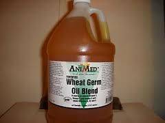 Animed Wheat Germ Oil Blend 1 Gallon Vitamins Energy Healty Coat 