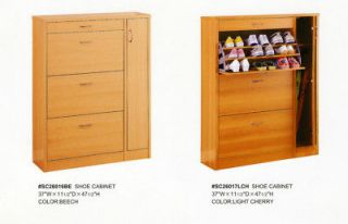shoe storage cabinet in Housekeeping & Organization