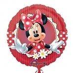 Childrens Themed Birthday Party All Items   Disney Minnie Mouse Red 
