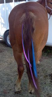   for horses mane tail  4 75   new our